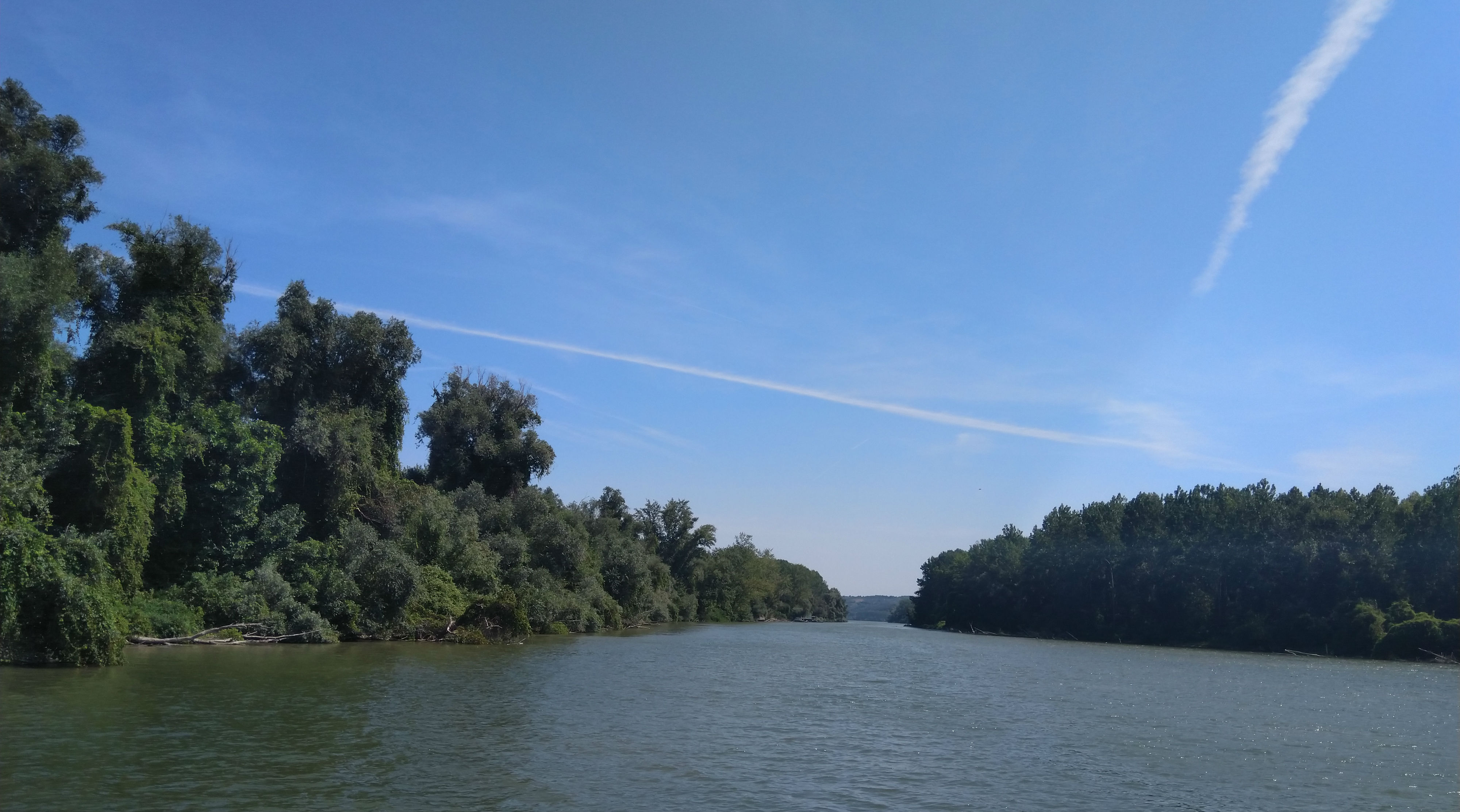 Brestovacka ada na Dunavu