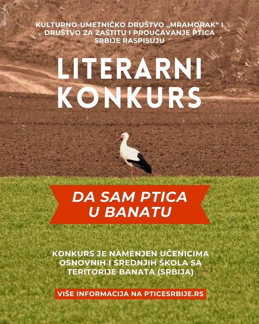 Literarni konkurs