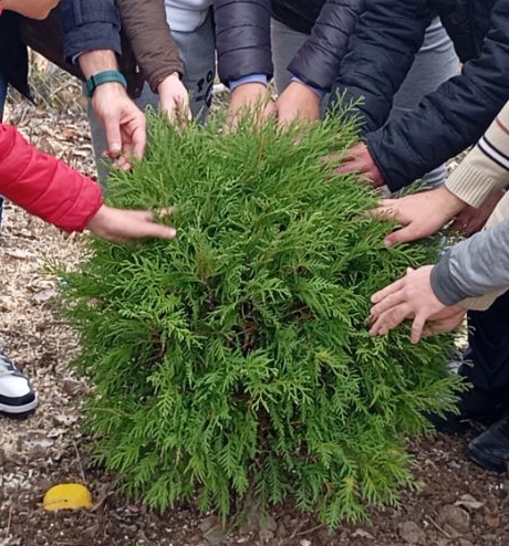 autor Savez MNRO Srbije