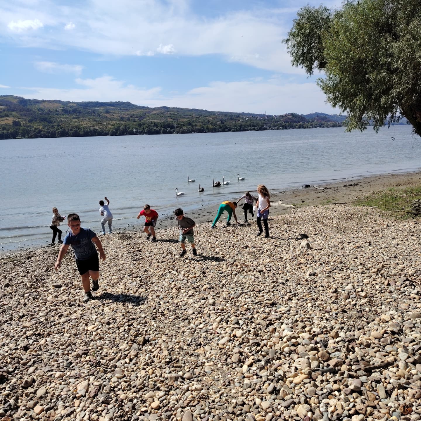 459402548 8002541153197146 4055899550333759735 n