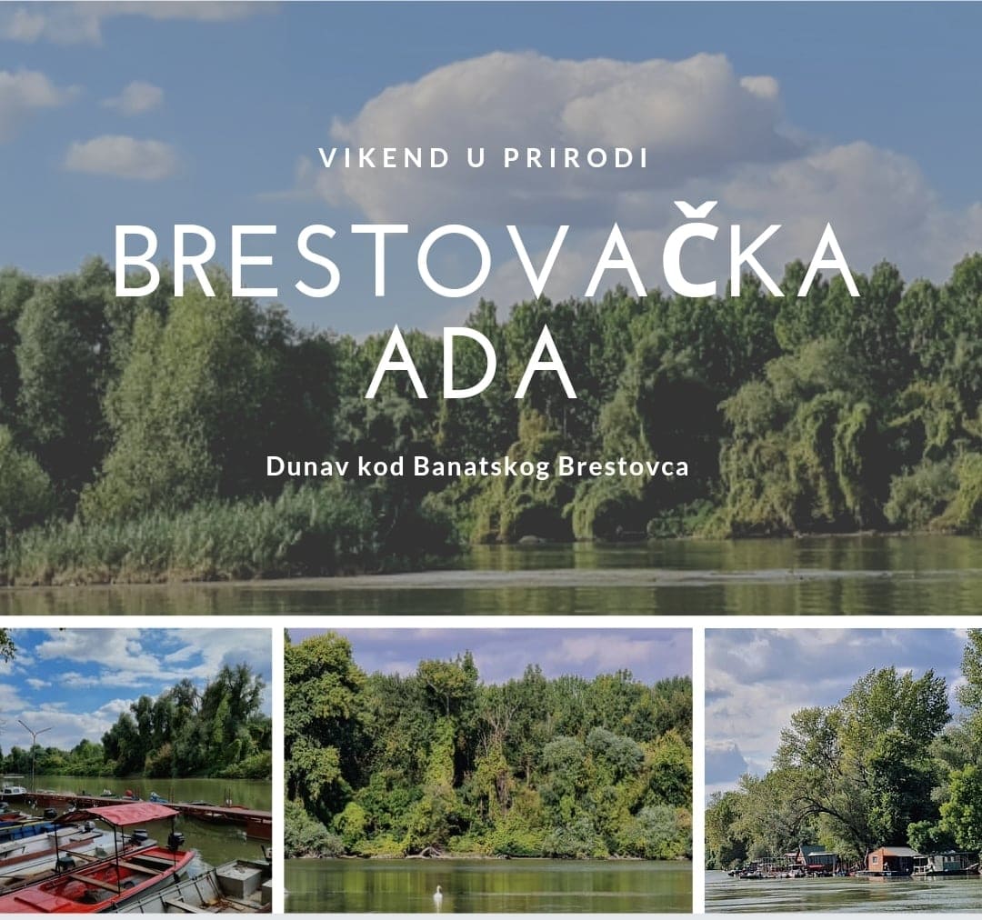 vikend u prirodi brestovacka ada