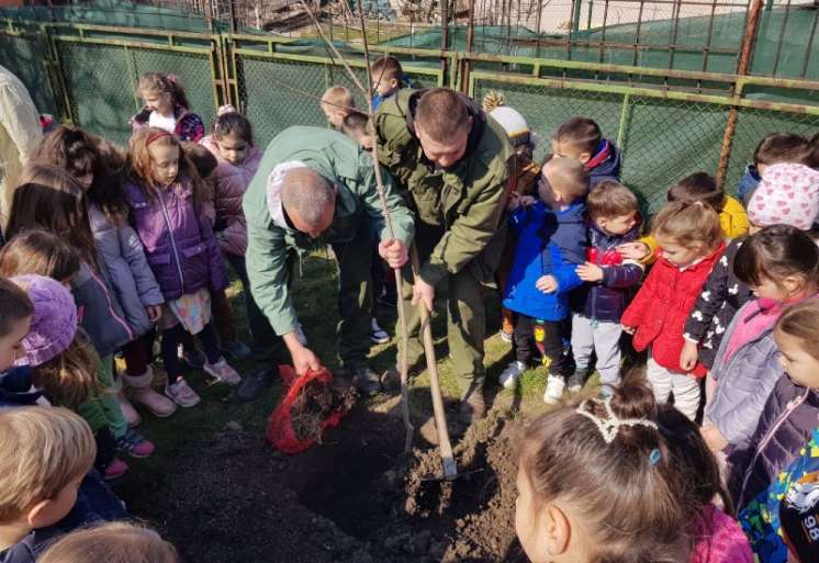 U vrtiću &quot;Leptirić&quot; deci je održano predavanje o važnosti očuvanja prirode i šuma i zajedno su zasadili drvo u dvorištu vrtića