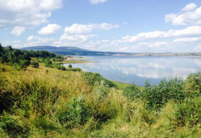 Na Vlasinskom jezeru, u mestu Vlasina Rid, kod Surdulice, u periodu od 28. avgusta - 2. septembra biće organizovan zanimljiv ekološki kamp