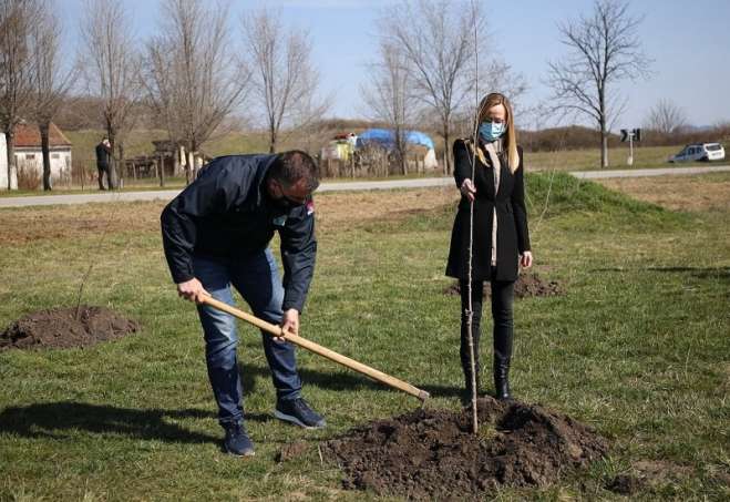 Srđan Kružević i Dragana Mitrović simbolično su zasadili jedno drvo na mestu gde će biti zasađeno čak 46000 sadnica