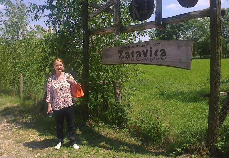 Gordana Vlajić, književnica iz Pančeva