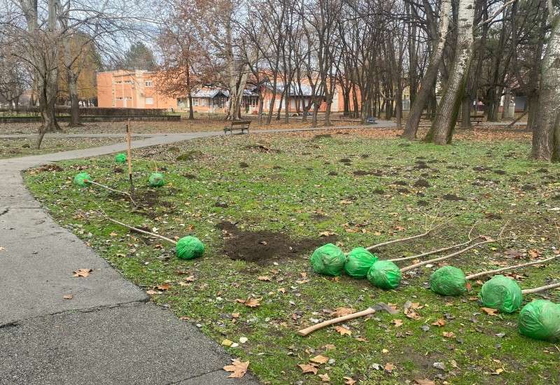 Uloga Ekolo&scaron;kog pokreta op&scaron;tine Kovačica (EPOK), koji aktivno uključuje mlade i izviđače u akcije na terenu, je izuzetno važna