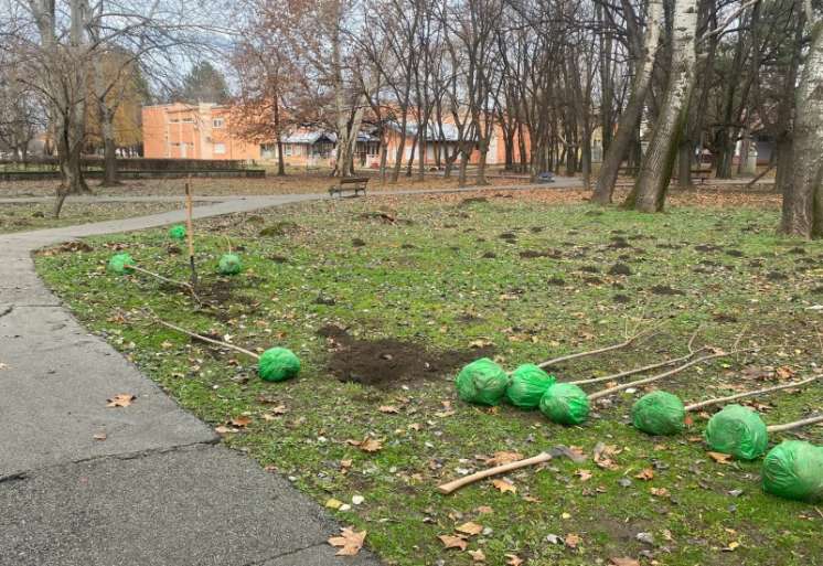 Uloga Ekolo&scaron;kog pokreta op&scaron;tine Kovačica (EPOK), koji aktivno uključuje mlade i izviđače u akcije na terenu, je izuzetno važna