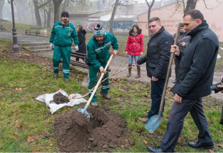 Sadnja drveća u Plankovoj ba&scaron;ti u Zrenjaninu
