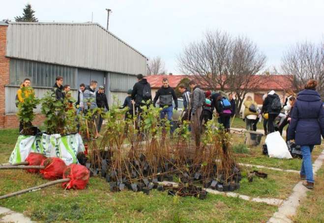 Volonteri u Barandi zasadili 5.000 sadnica