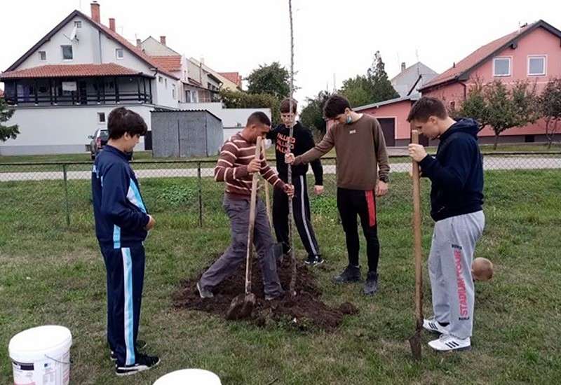 Veliki broj meštana Starčeva uključio se u akciju sadnje drveća na više lokacija