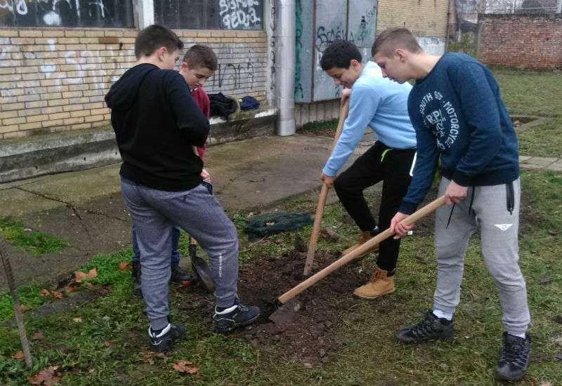 U akciji prikupljanja reciklabilnog otpada u &scaron;kolama na teritoriji Pančeva, tri godine za redom pobeđivala je osnovna &scaron;kola &ldquo;Žarko Zrenjanin&rdquo; iz Kačareva. Jedan deo nagrade čine i sadnice za &scaron;kolsko dvori&scaron;te, a one su im uručene i u dvori&scaron;tu zasađene pro&scaron;le nedelje