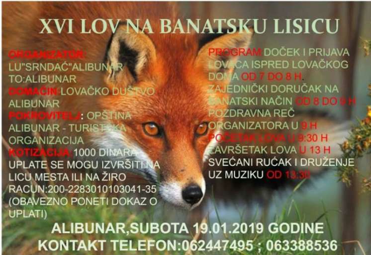 Lov na banatsku lisicu organizuje se svake godine u januaru