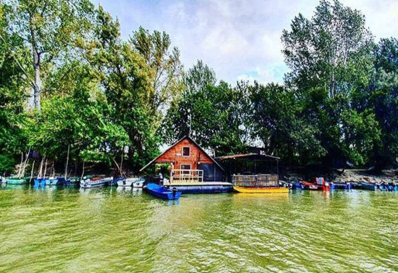 Brestovačka ada kod Banatskog Brestovca