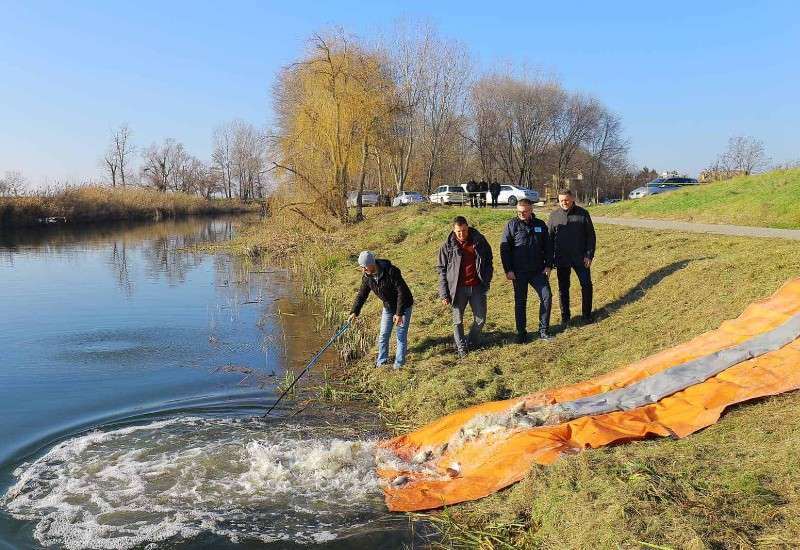  Riblji fond bogatiji za vi&scaron;e od 21.000 kilograma mlađi &scaron;arana
