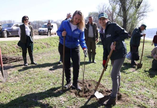 Sadnja milionite sadnice u Ivanovu u okviru akcije "Zasadi drvo"
