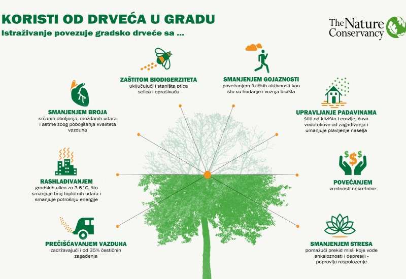 Kakve su koristi od drveća