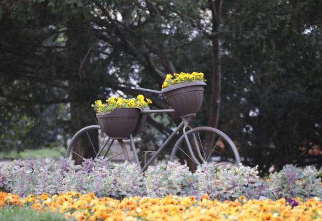 Cvetna dekoracija iz Gradskog parka Pančevo